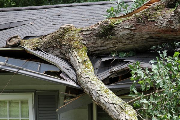 Cost of Storm Remediation in Janesville