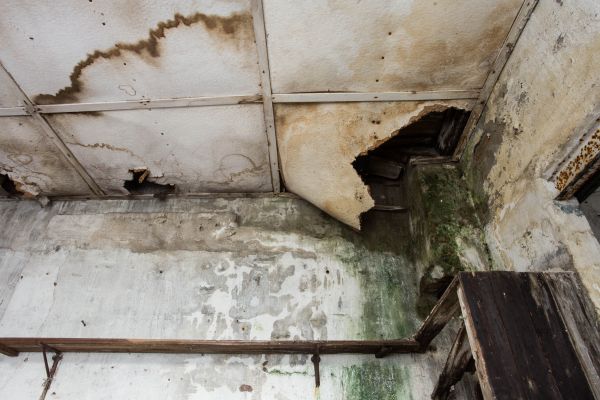 Water Damage Service in Janesville