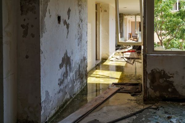 Water Removal Service in Janesville