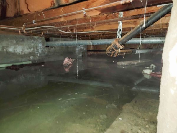 Cost of Crawl Space Drying in Janesville