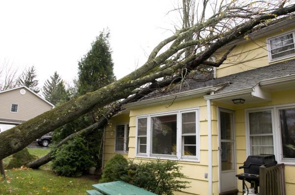 Hurricane Damage Repair in Janesville